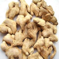 Dry Ginger - Bulk Supplier, Best Wholesale Rate, Manufacturer